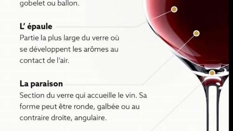 L'actualité du vin - œnologie